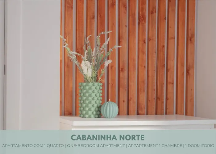 Apartment Do Avo Joao